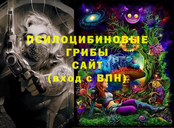 ГАЛЛЮЦИНОГЕННЫЕ ГРИБЫ Верхний Тагил