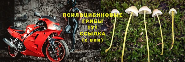 ГАЛЛЮЦИНОГЕННЫЕ ГРИБЫ Верхний Тагил