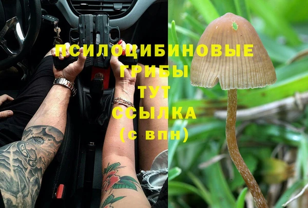 дмт Верея
