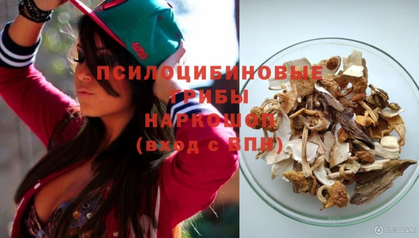 PSILOCYBIN Бронницы